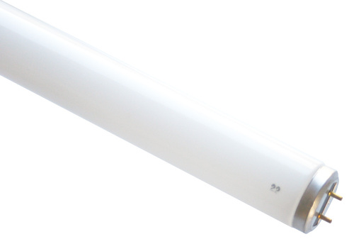 Scharnberger+Hasenbein Leuchtstofflampe T12 38x590mm G13 20W 68322